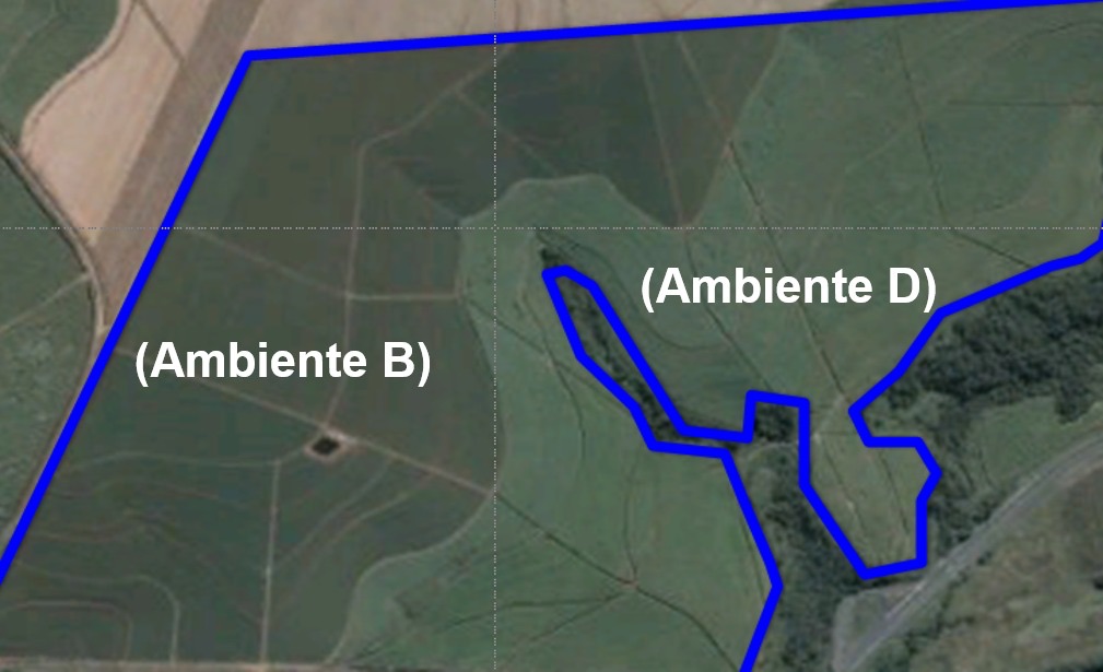 Imagem aérea com solos e potenciais produtivos distintos